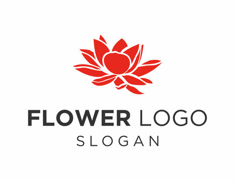 Logo about Flower on a white background. created using the CorelDraw application.