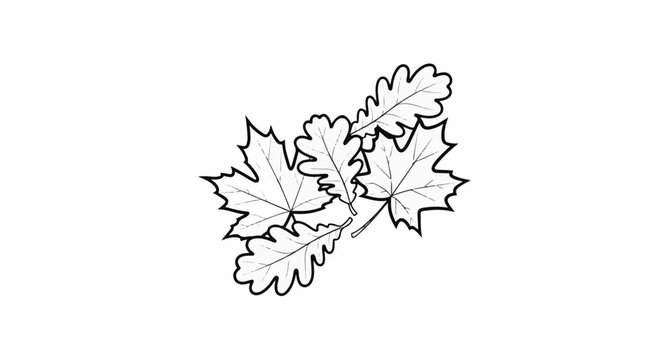 A grouping of autumn leaves, some with pointed lobes and others with scalloped edges