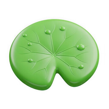 A green lily pad with water droplets on it
