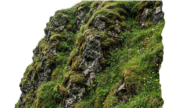 Mossy rocky cliff face with lush green vegetation on transparent background