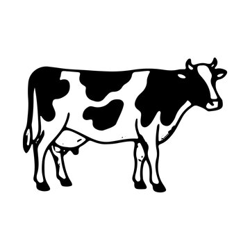 Hand Drawn Dairy Cow Illustration