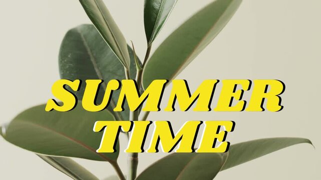 Camera panning up, plant revealing top leaf while yellow SUMMER TIME title staying fixed, marketing