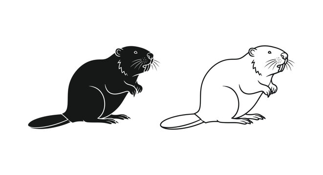 Beaver vector illustration set, black silhouette and line art beaver icons, North American rodent wildlife graphics for nature conservation logos
