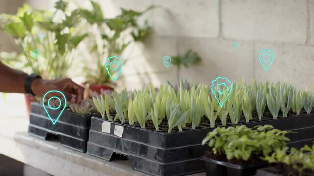 Gardener's arm responding to cyan marker appearing, inspecting nursery seedlings and tagging trays