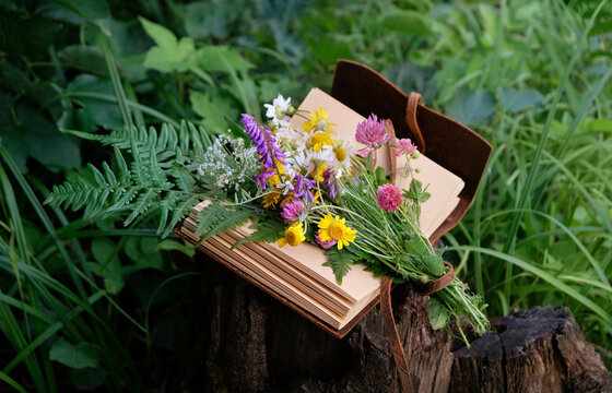 wild forest flowers and magic witch book in forest, nature background. composition with bouquet of different flowers and notebook. botany, study of wild herbs, flowers. Green witch, practical magic.