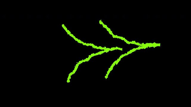 Abstract motion graphic featuring glowing green hand-drawn curved bracket lines animating smoothly on a black background