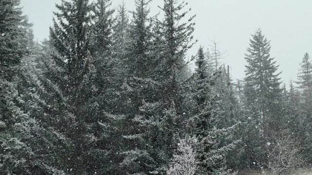 Beautiful snowfall scenery from the Fairmont Chateau Whistler hotel and spa in British Columbia, Canada.