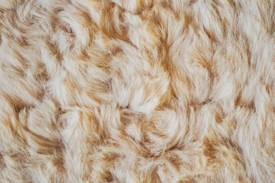 Close up of light brown fluffy animal fur texture
