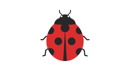 Flat vector illustration of a red ladybug isolated on white background © Arus LMH