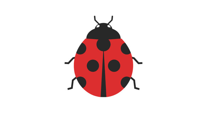 Flat vector illustration of a red ladybug isolated on white background