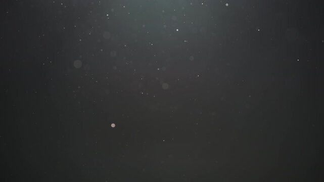 Real dust particles floating in air over dark background
