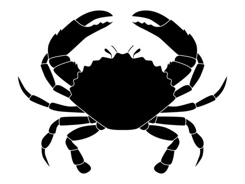 Black silhouette of a sea crab. Illustration on a transparent background