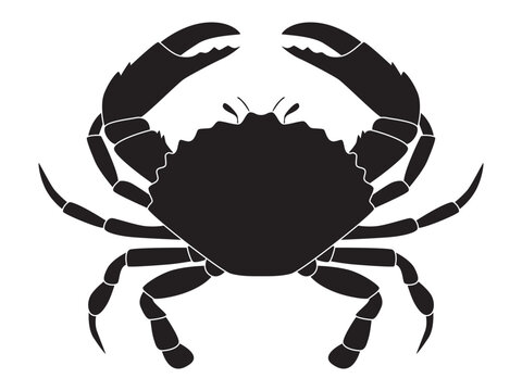 Black silhouette of a sea crab. Vector illustration isolated on a white background