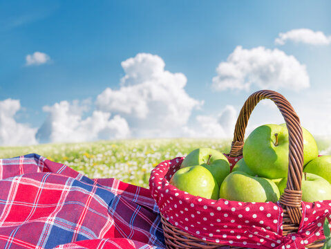 Picnic basket with apples on blanket in sunny park