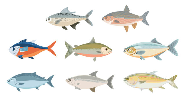 Simple icon-style hilsa fish vector flat colors illustration minimalist seafood symbol clean aquatic food design modern outline