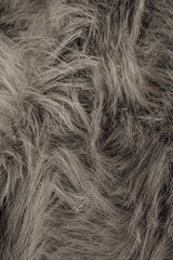 Obraz premium Detailed view of fluffy luxurious soft shaggy dark grey faux fur textile background pattern