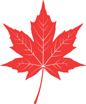 Red Maple Leaf Design, Nature Symbol for Fall, Canada, and Autumn Season Graphics