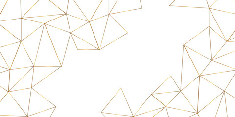 Abstract geometric background with connecting dots and lines with low poly triangle shapes. Polygonal Mesh Background Vector design digital technology concept Global network connection data structure. © Kainat 