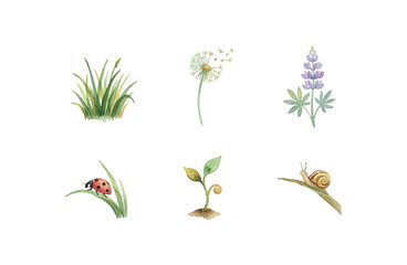 Watercolor grass and meadow icons set with wildflower sprout and snail © Dwi