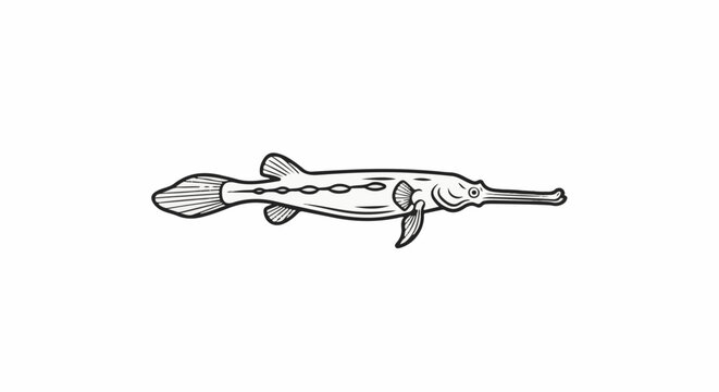 Line art depiction of a long-snouted fish with detailed fins and markings