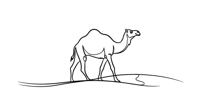 Minimalist line art drawing of a camel in the desert.