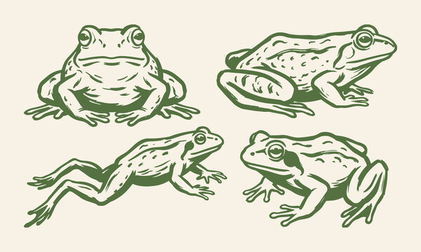 Frog Set Amphibian Animal Collection Hand Drawn Line Art Vector Illustration Design.