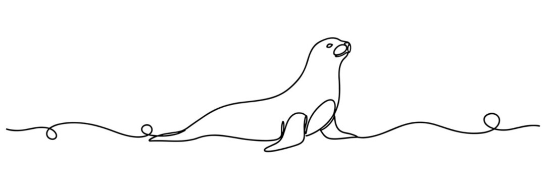 Sea lion lying alert on continuous line ocean shoreline, none editable strokes