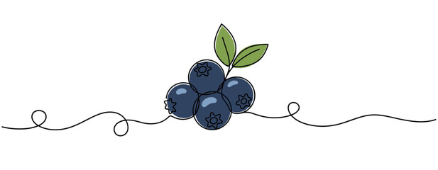 Naklejka premium Cluster of blueberries with leaves on continuous line