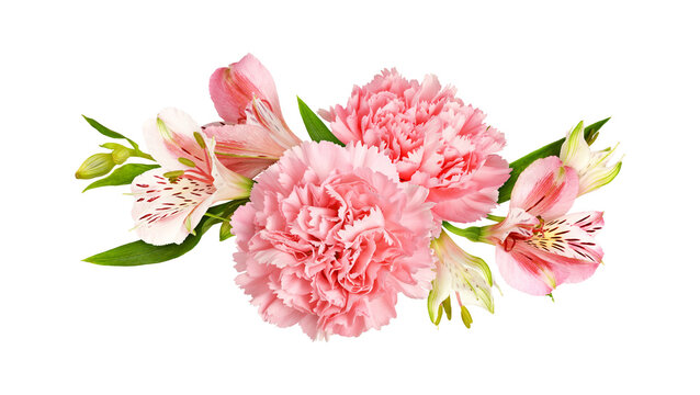 Pink carnations and alstroemeria flowers in a floral arrangementisolated on white or transparent background