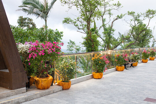 Outdoor terrace lined with potted flowering shrubs in decorative golden pots along glass railing. Street gardening.