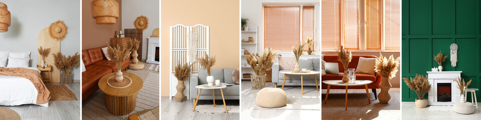 Naklejka premium Collage of stylish domestic interiors with dry reed