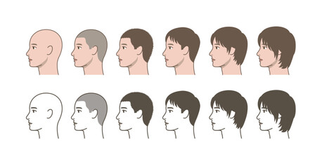 Male Hair Growth Progression Side View, Profile Hairstyle Transformation from Bald to Long Hair, Hair Length Comparison, Grooming Chart Illustration © Jeorge