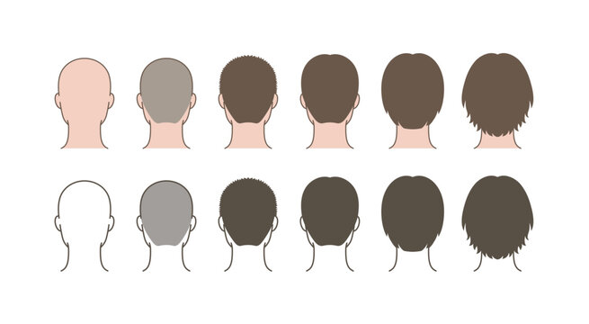 Male Hair Growth Progression Back View, Rear Head Hairstyle Transformation from Bald to Long Hair, Hair Length Comparison Grooming Chart Illustration