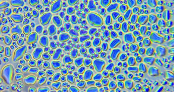 Water bubbles bursting under microscope, abstract macro liquid texture