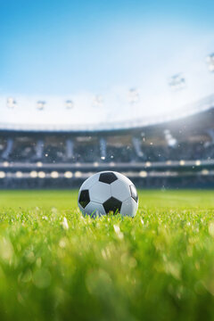 ball on the green field in soccer stadium. ready for game in the midfield - big poster with copy space.