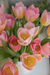 Fototapeta premium A beautiful, lush bouquet of tulips in an interior