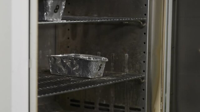 Laboratory technician placing sample in industrial oven