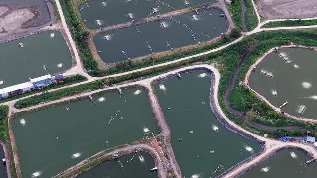 Drone footage of rectangular aquaculture ponds at Sungai Udang fish farm near Nibong Tebal.
