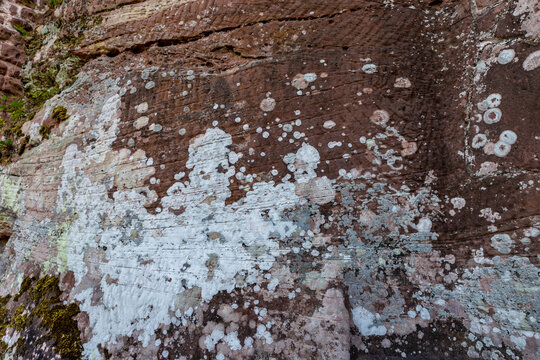 A close view of a rock face showing various patterns and colors in Dahn, Rhineland-Palatinate, during daylight hours.