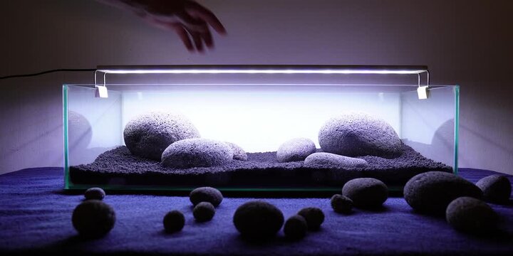 Aquascape Aquascaping Fish tank