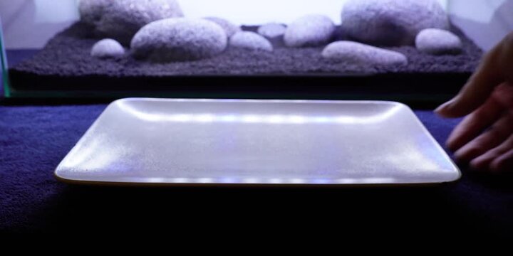 Aquascape Aquascaping Fish tank