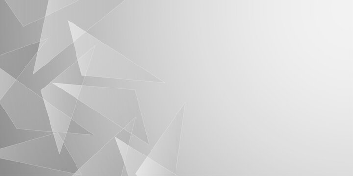 Vector white grey gray gradient dynamic abstract lines background. Vector Polygonal Material Design. Used opacity layers. Volume geometric shape, 3d crystal gray background, triangles mosaic.