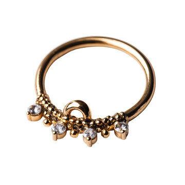 Golden nose ring, with embedded gems, set against a black background