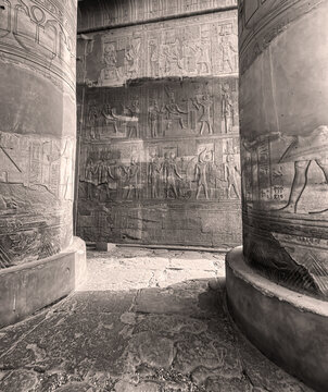 Temple of Kom Ombo pillars and wall with water mark when it was submerged. Egypt 