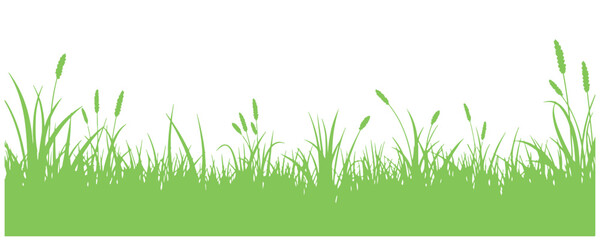 Fototapeta premium Herbal grass edge collection for creative design templates.