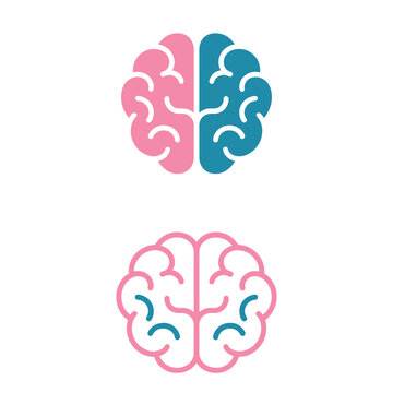 Split brain hemispheres illustrated with color differentiation