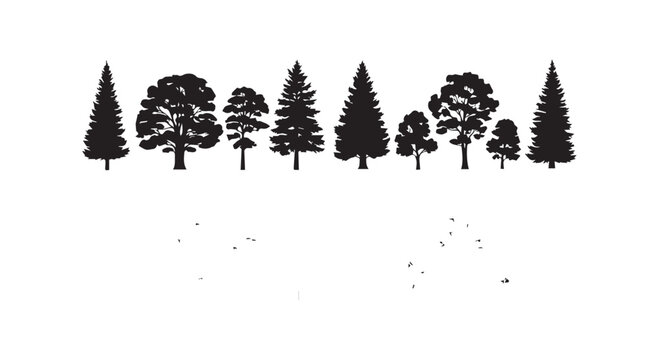 Forest tree silhouettes collection with different pine and deciduous species and small flying birds on white background vector.