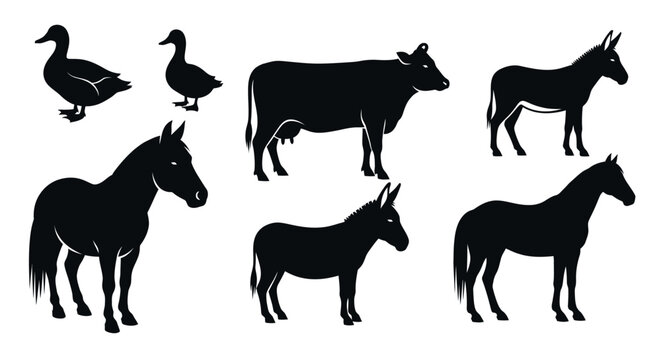 Farm Animals Silhouettes Vector Set - Domestic Livestock and Poultry Icons