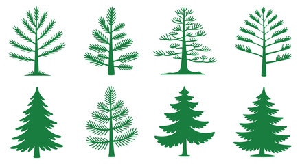 Obraz premium Diverse illustrations of different types of evergreen trees and coniferous tree silhouettes