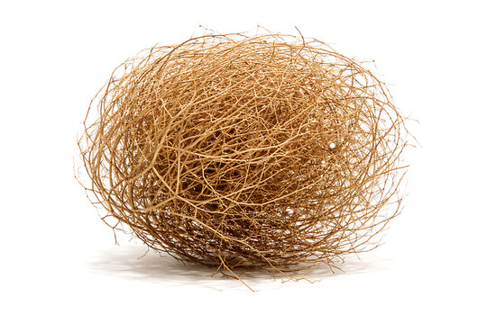 Dry tumbleweed ball isolated on white background